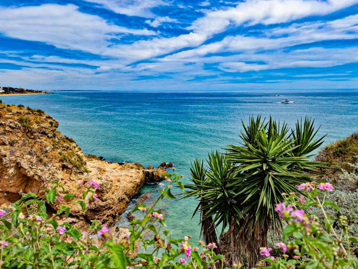 Jardins Do Mar - By Bedzy Apartment Albufeira Ngoại thất bức ảnh